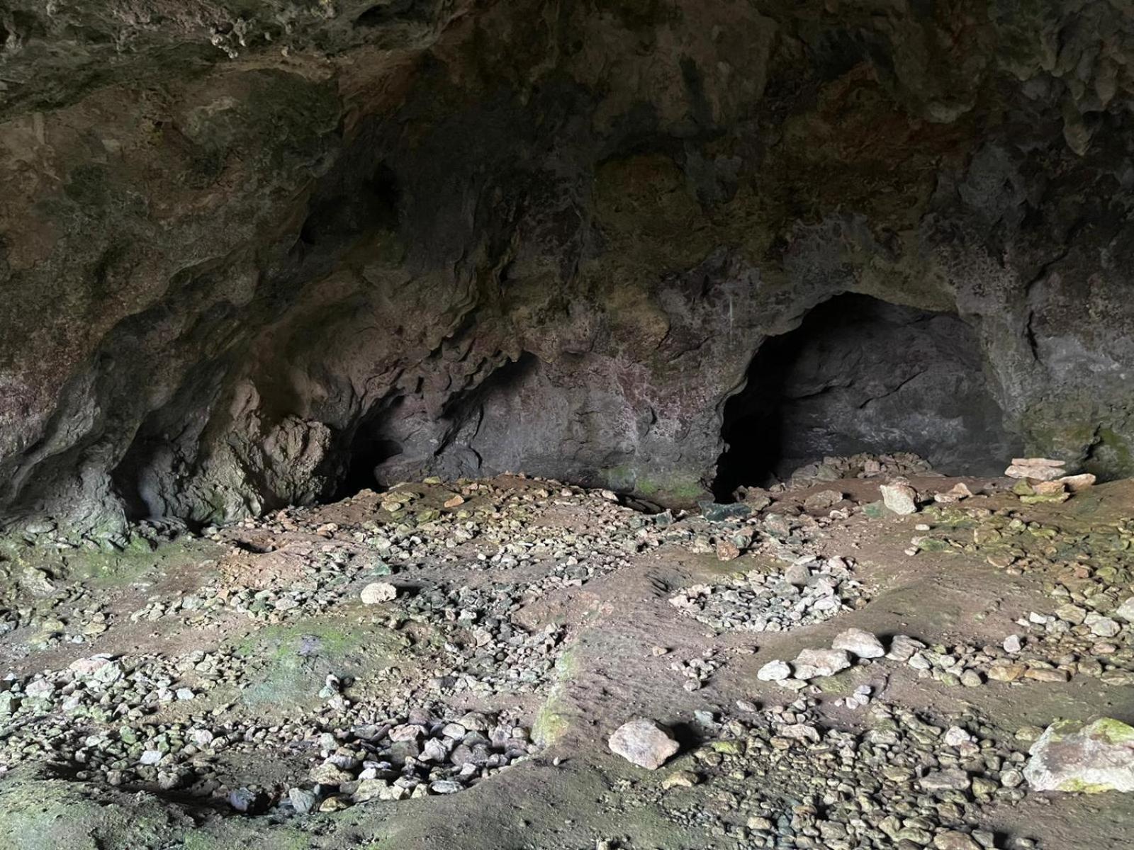 La Torretta - Incantevole Appartamento Nei Colli Berici Nanto Exterior foto